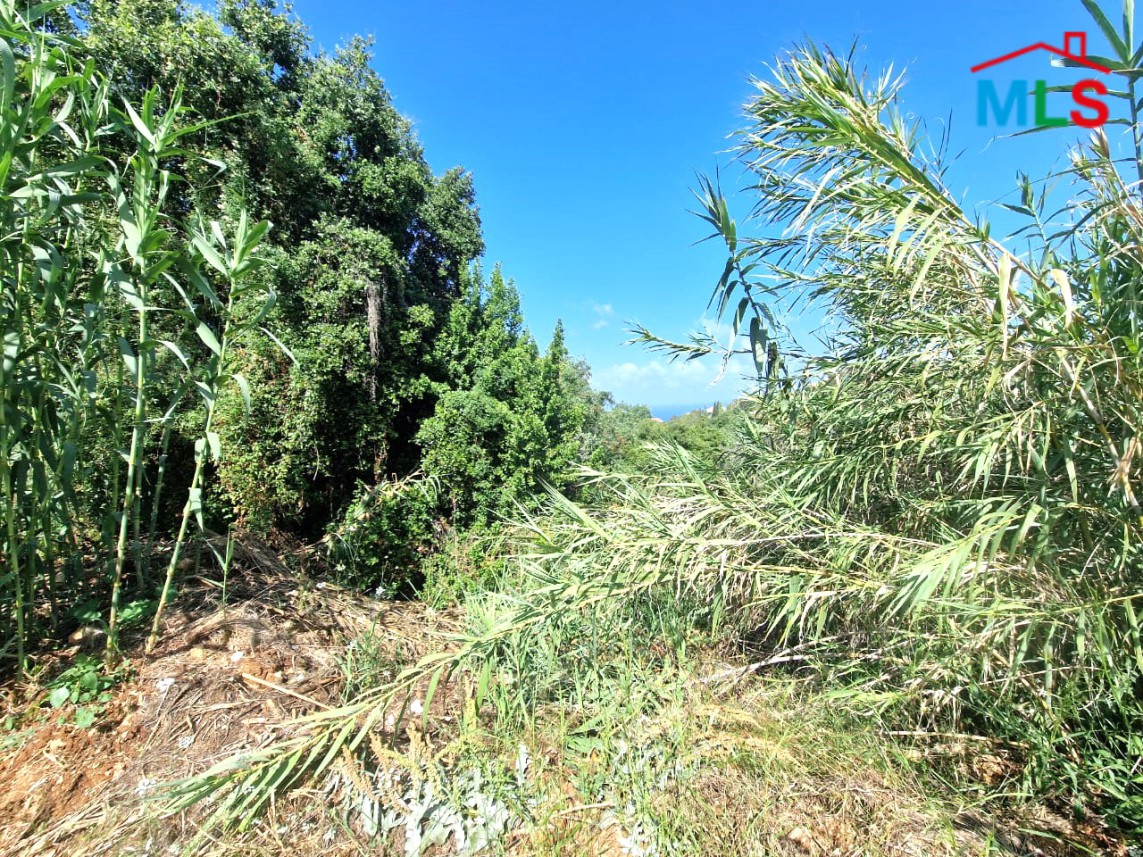 1,719 sqm Land for Sale In Aidamoun Gherfine