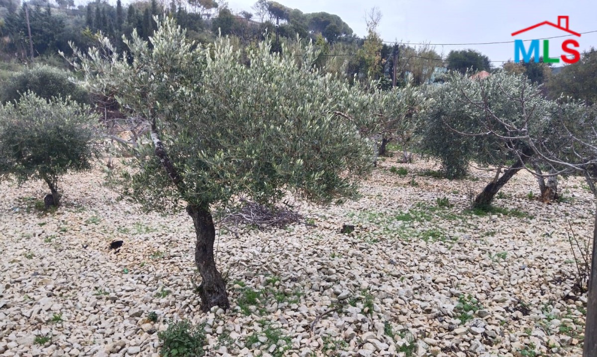 Land Surrounded By Nature for Sale in Jrebta