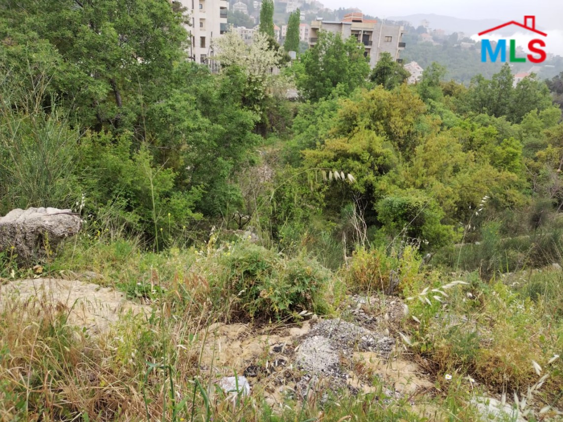Land for Sale In Rayfoun