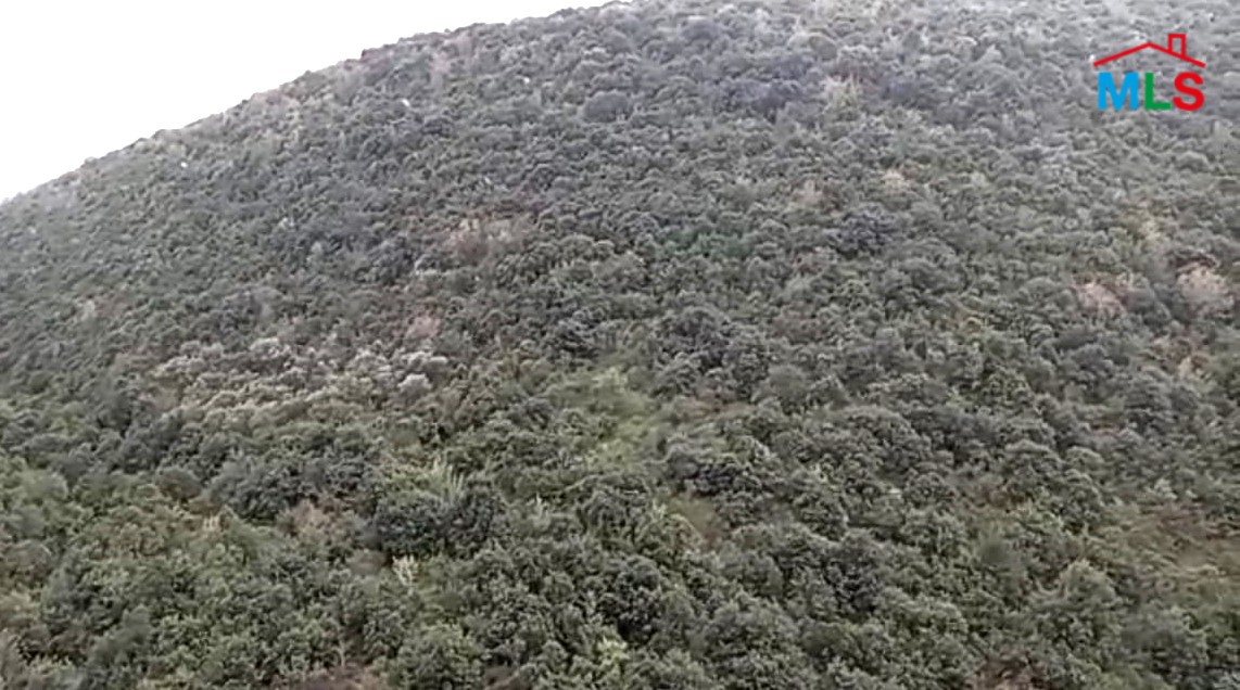 Spacious Land With Mountain View for Sale In Sourat Batroun