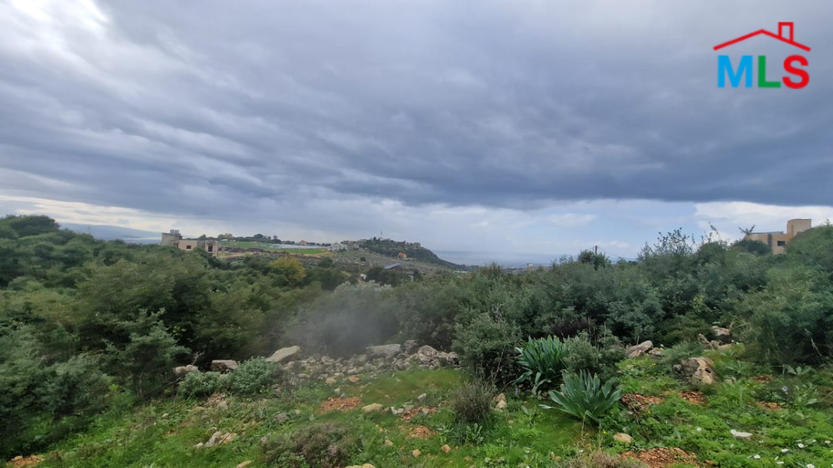 3,540 SQM Land for Sale in Gharzouz, Jbeil
