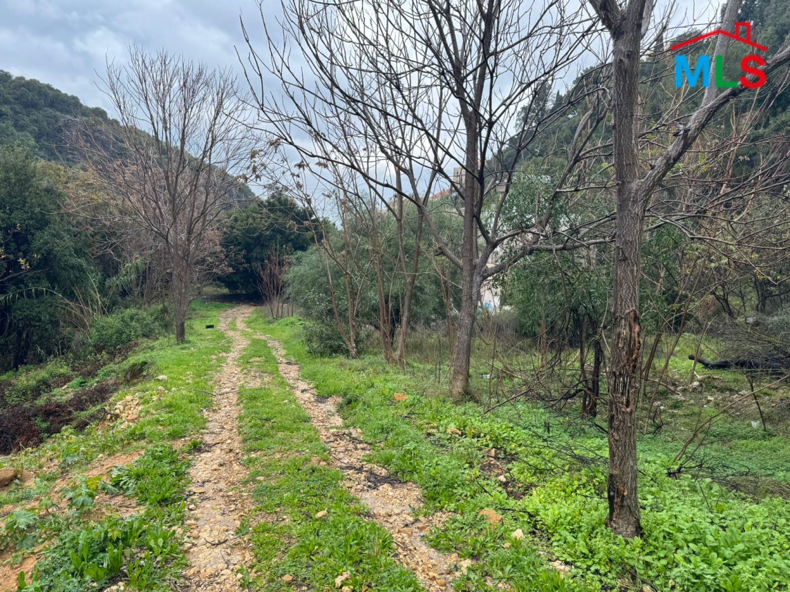 10,000 SQM Land for Sale In A Prime Location In Chnaniir