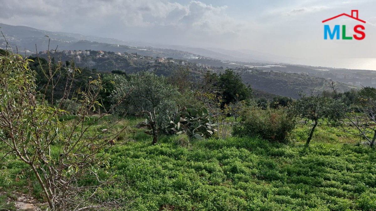 3,255 SQM Land for Sale In Hsarat Jbeil