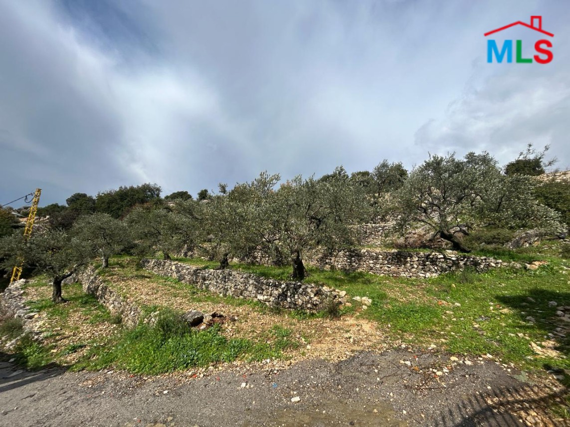1,280 SQM Land for Sale In Batroun - Chabtine
