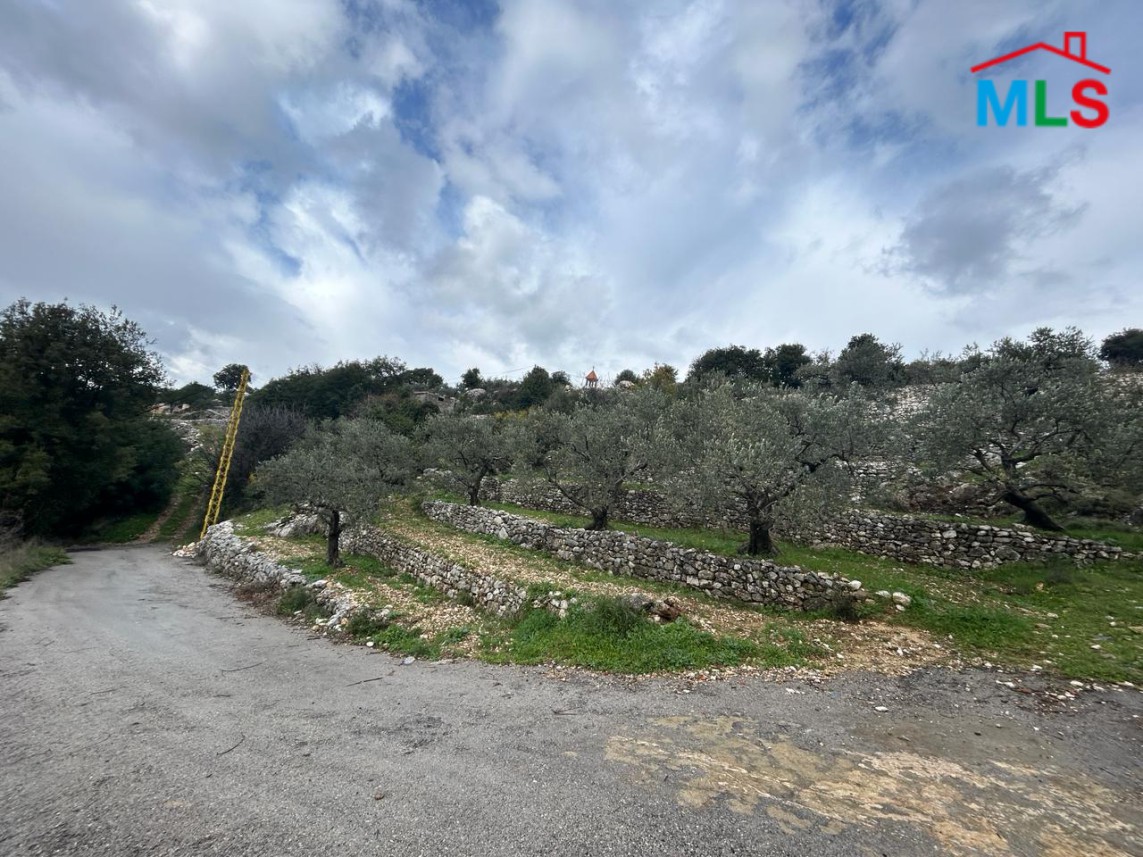 1,280 SQM Land for Sale In Batroun - Chabtine