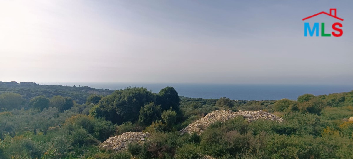 1,200 SQM Land for Sale in Berbara