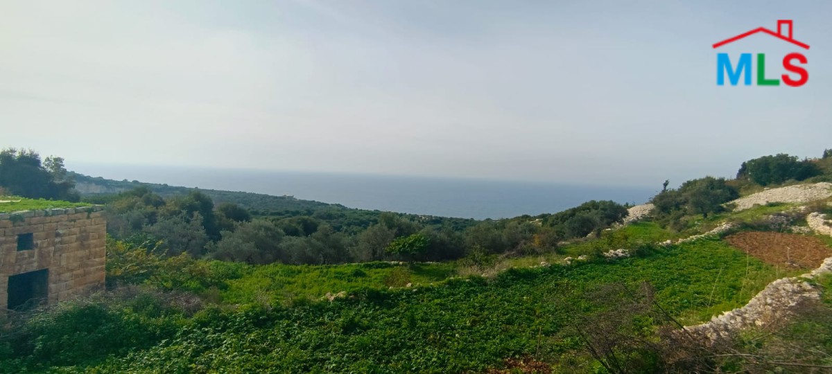 4,300 SQM Land For Sale in Berbara