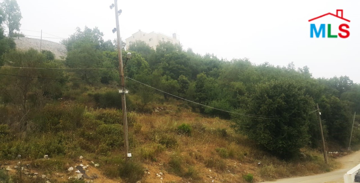 750 SQM Land With Great Green And Sea View for Sale In Ammereye Bikfaya