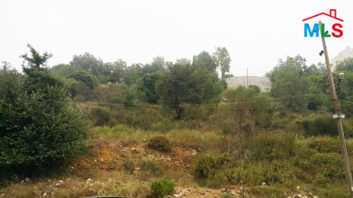 750 SQM Land With Great Green And Sea View for Sale In Ammereye Bikfaya