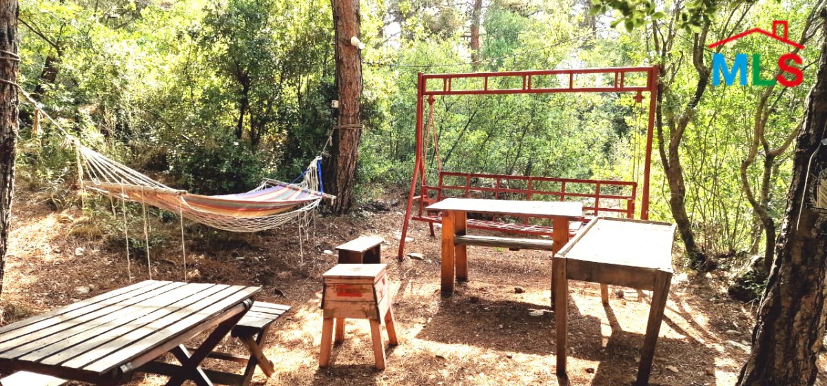 8,506 SQM Land for Sale in Hardine, Batroun with a Ready Airbnb Project