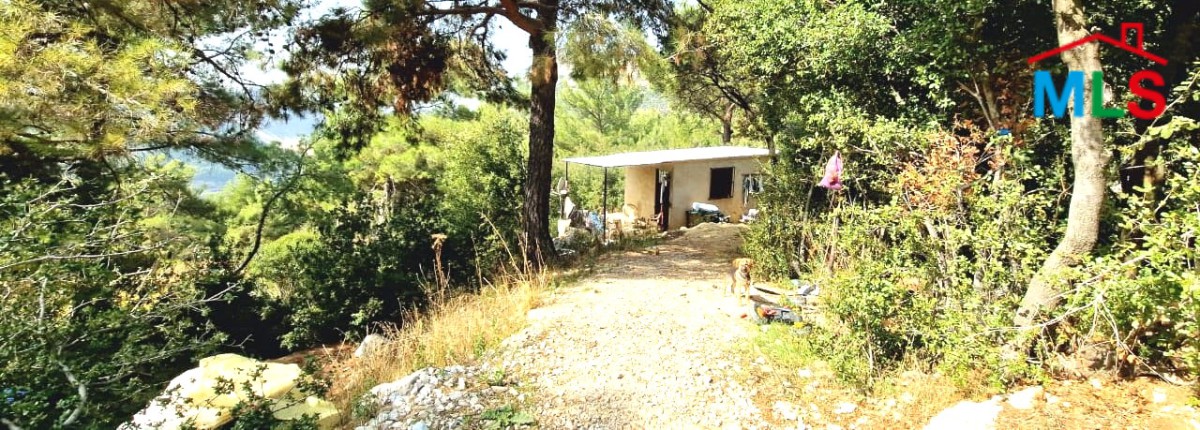 8,506 SQM Land for Sale in Hardine, Batroun with a Ready Airbnb Project