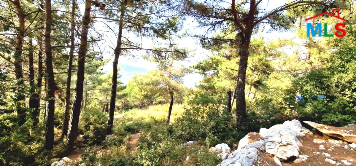 8,506 SQM Land for Sale in Hardine, Batroun with a Ready Airbnb Project