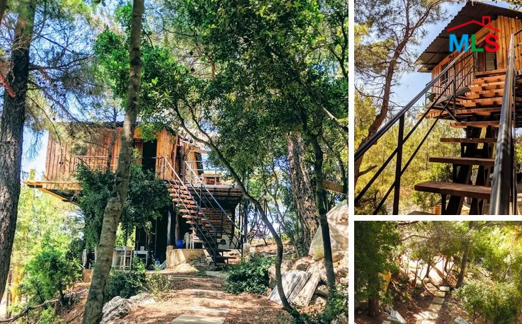 8,506 SQM Land for Sale in Hardine, Batroun with a Ready Airbnb Project