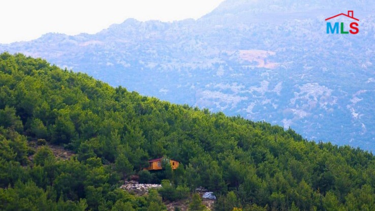 8,506 SQM Land for Sale in Hardine, Batroun with a Ready Airbnb Project