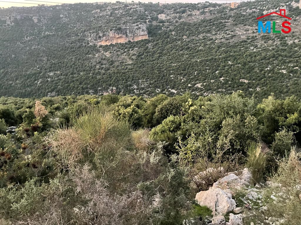 Big Size Land for Sale In Haqel-Jbeil