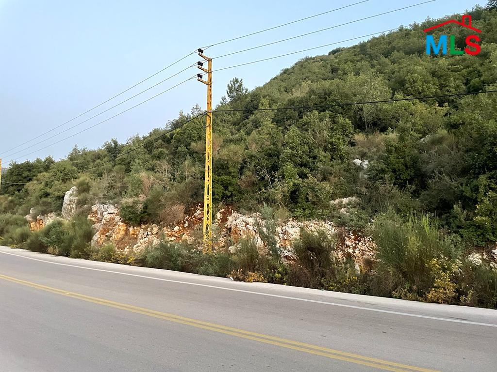 Big Size Land for Sale In Haqel-Jbeil