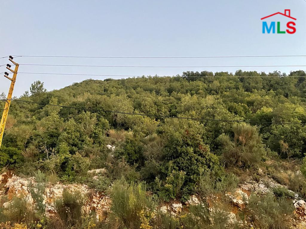 Big Size Land for Sale In Haqel-Jbeil