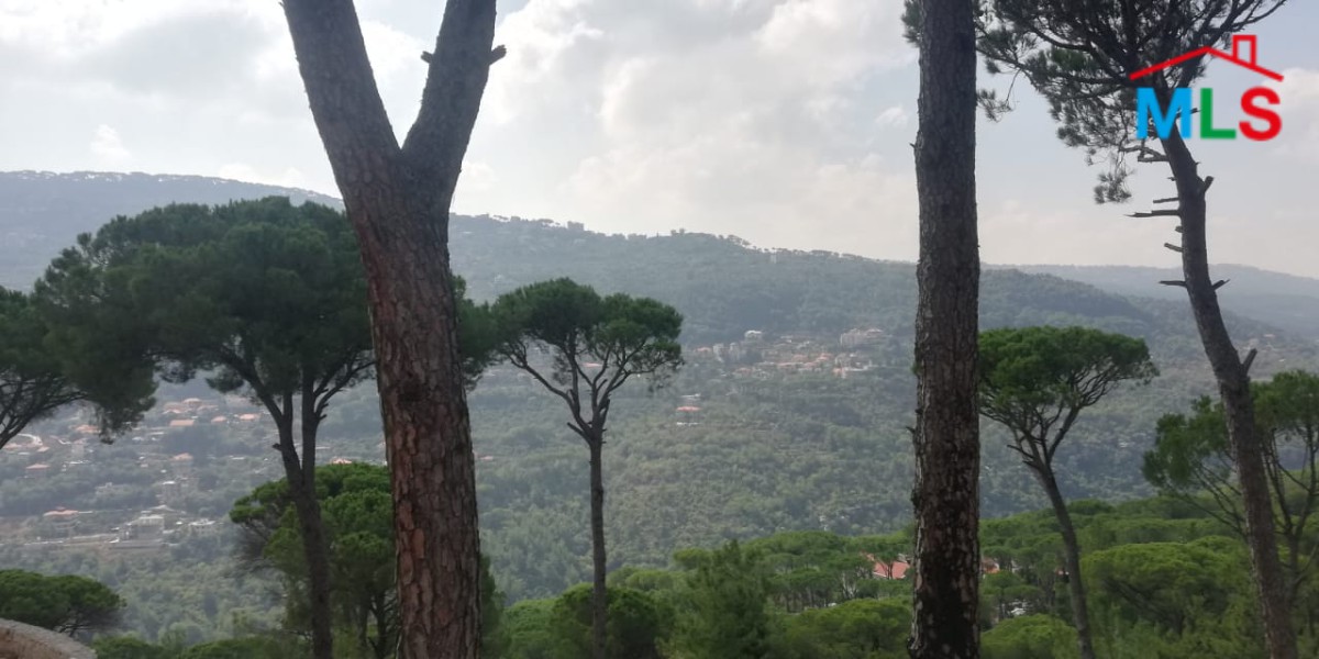 1565 SQM Land With Open Panoramic View For Sale In A Calm Area In Baabdat