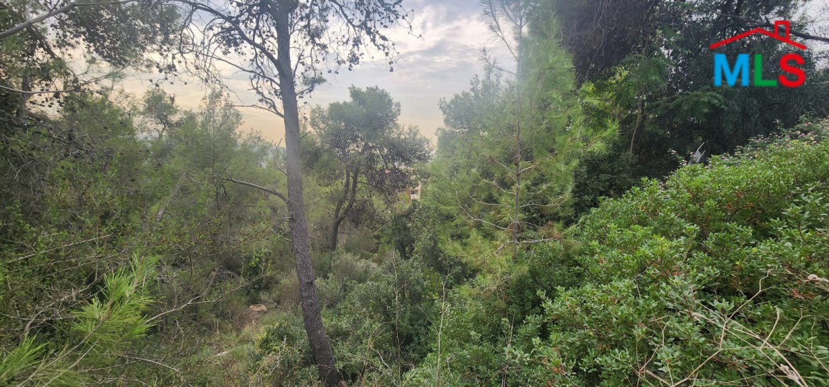 A Spacious Land With Great Green View for Sale In Yarzeh