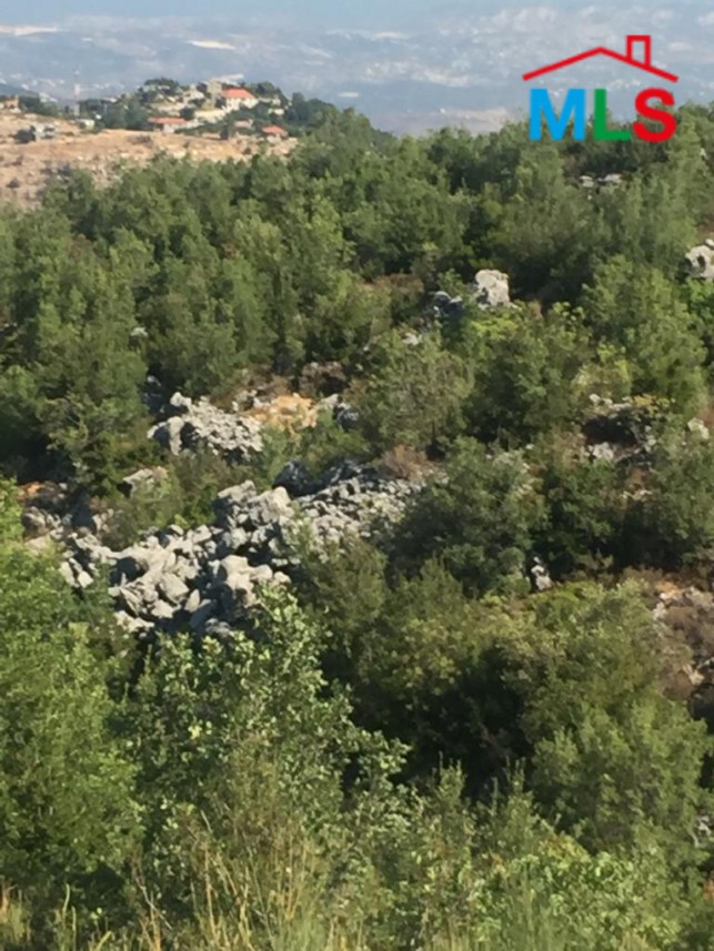Spacious Land for Sale in Jaj Jbeil