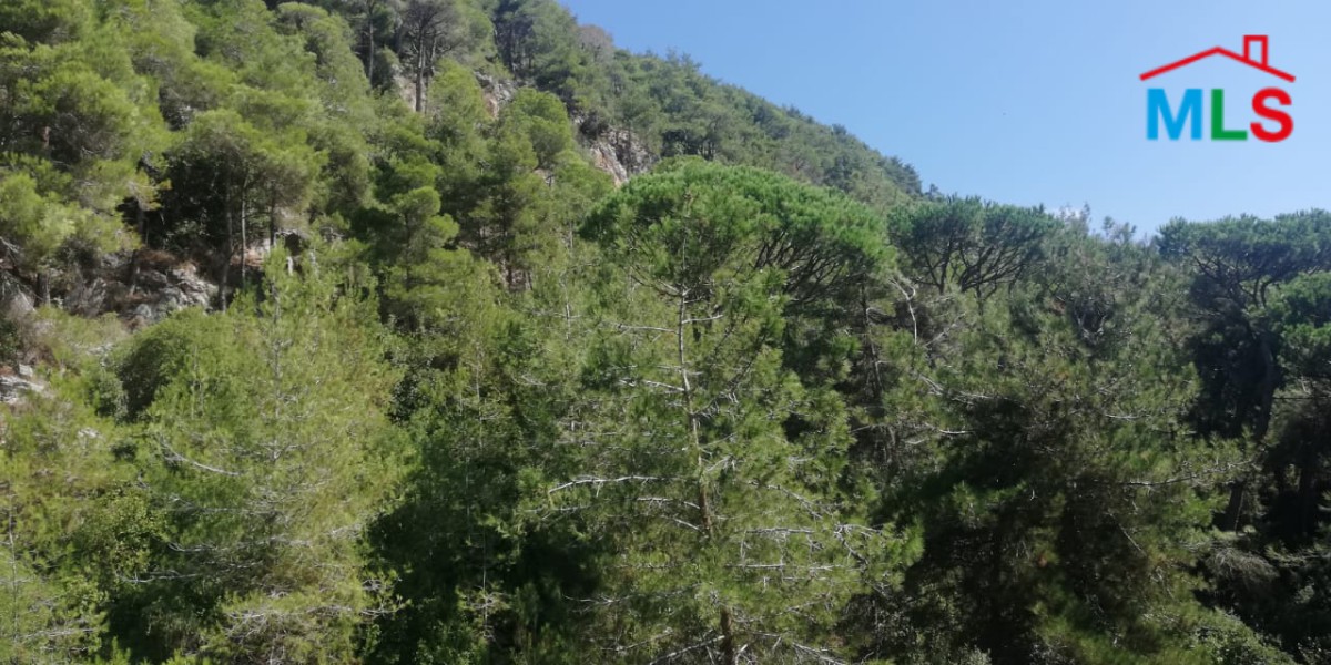 Land for Sale In Jouret Al Ballout